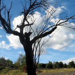 2002-Luberon