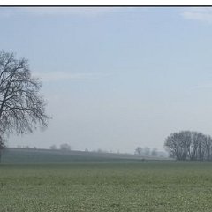 Roullet