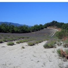 Luberon
