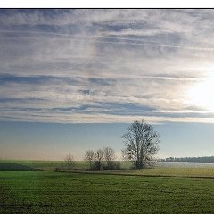 Paysage