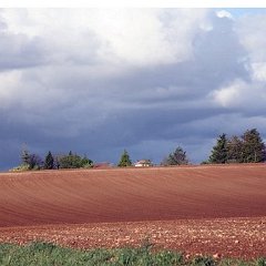 Paysage