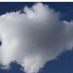 Ciel