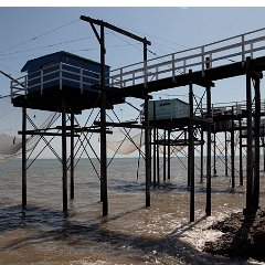 Royan