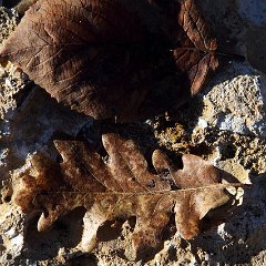 2011-land-art