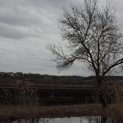 2011-paysages