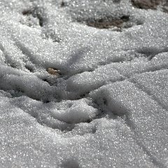 2012-texture