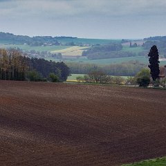 Paysage