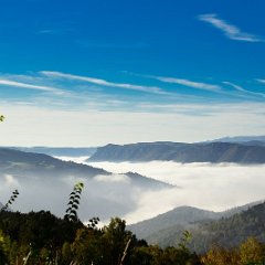 Cevennes