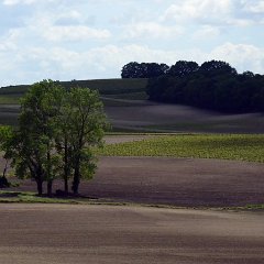 Paysage