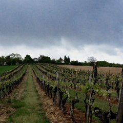 Roullet-Saint-Estephe