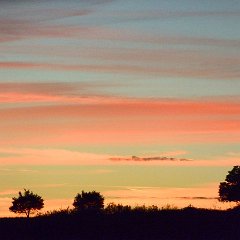 luberon-vacheres