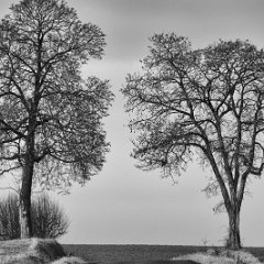 Paysage