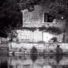 Saintonge