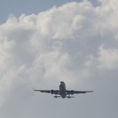 Ciel