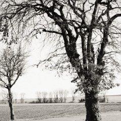 Paysage