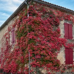Gardes-Le-Pontaroux