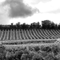 Bouteville